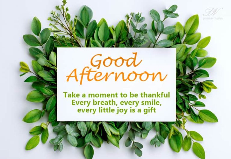 Good Afternoon Wishes