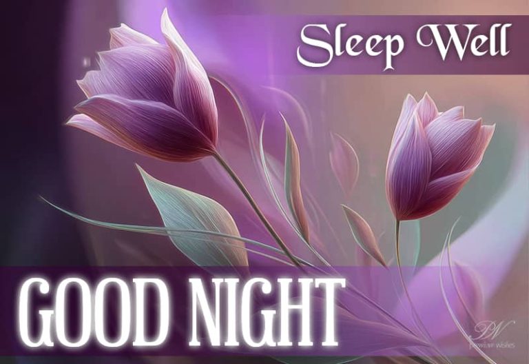 Good Night Wishes