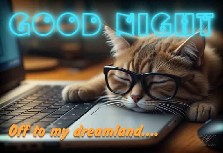 Good Night Wishes