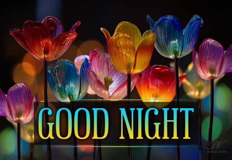 Good Night Wishes
