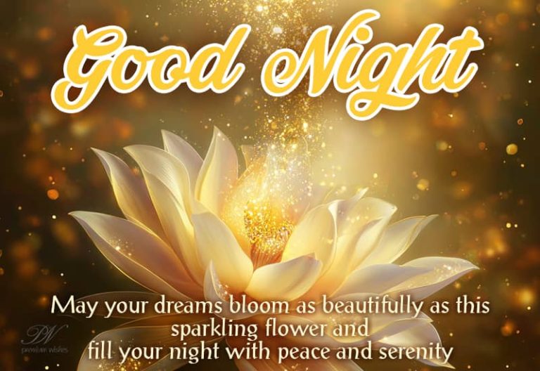 Good Night Wishes