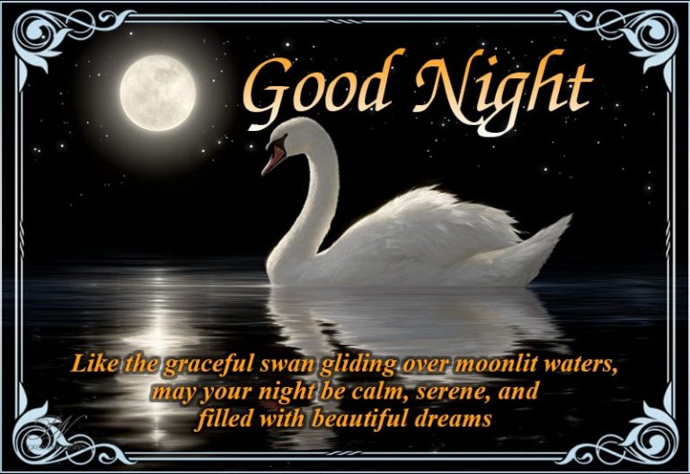 Good Night Wishes