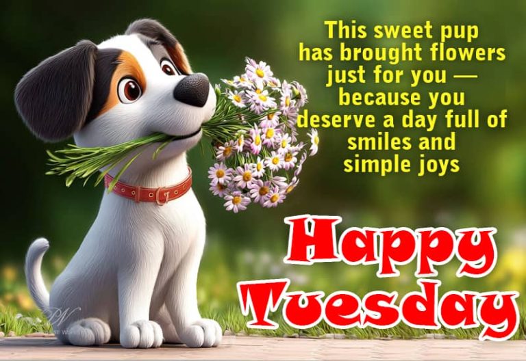 Happy Tuesday – This sweet pup has brought flowers just for you – because you deserve a day full of smiles and simple joys