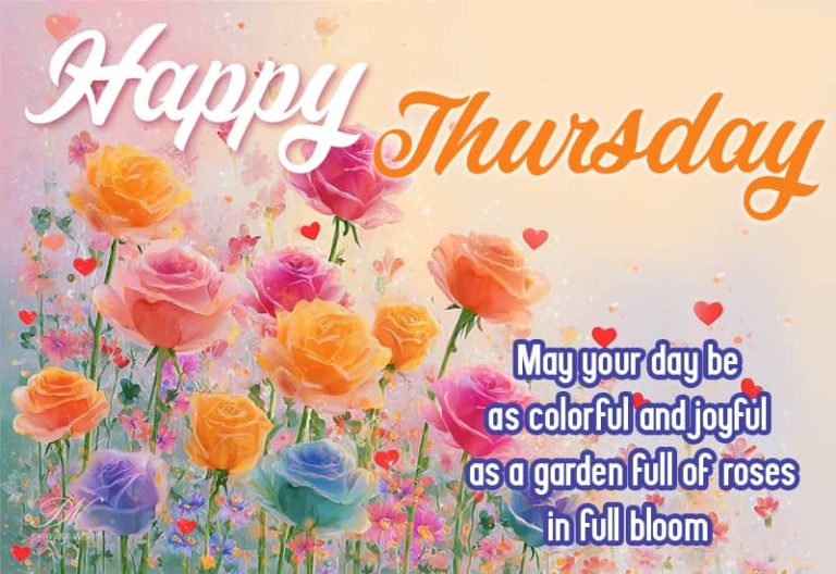 Happy Thursday – May your day be as colorful and joyful as a garden full of roses in full bloom