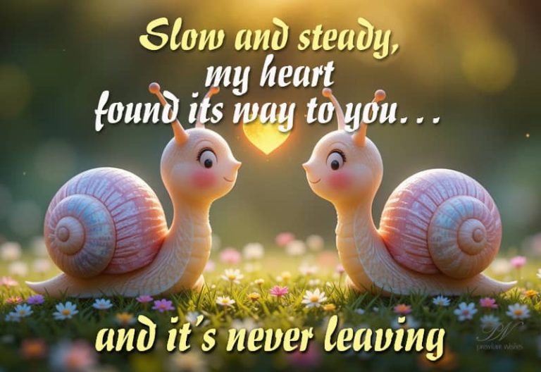 Slow and steady my heart found its way to you …… and it’s never leaving