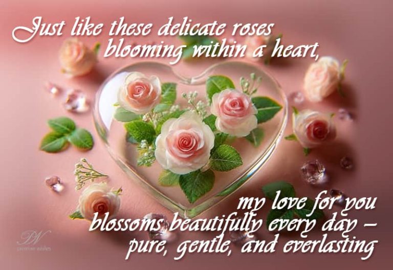 Just like these delicate roes blooming within a heart, my love for you blossoms beautifully every day – pure, gentle and everlasting