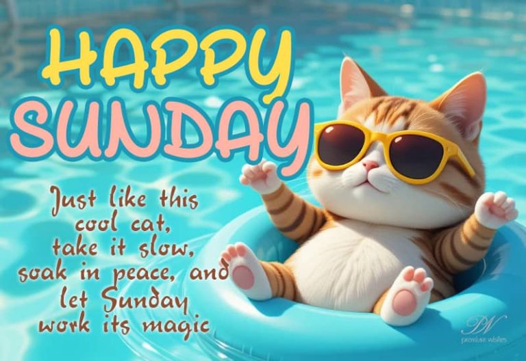 Happy Sunday – Just like this cool cat, take it slow, soak in peace and let Sunday work its magic