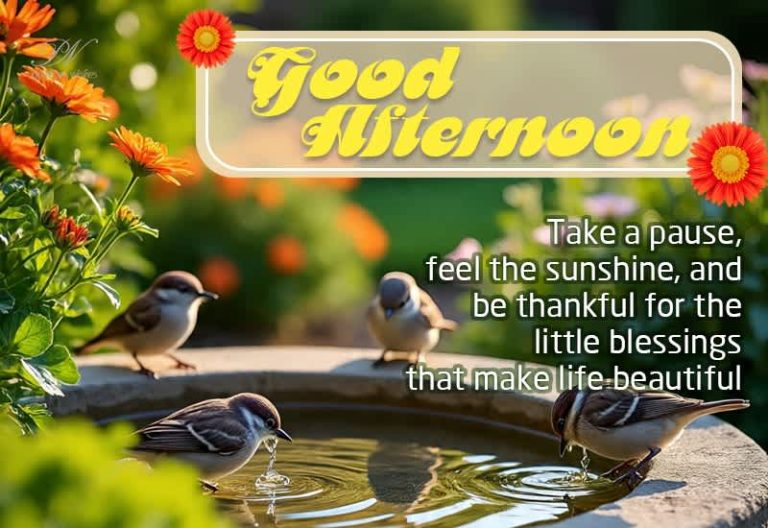 Good Afternoon Wishes