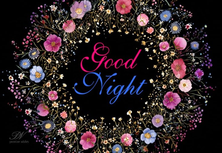 Good Night Wishes