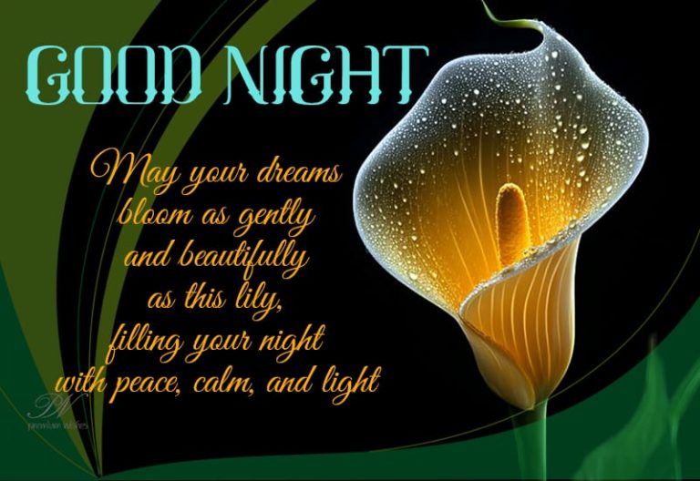 Good Night Wishes