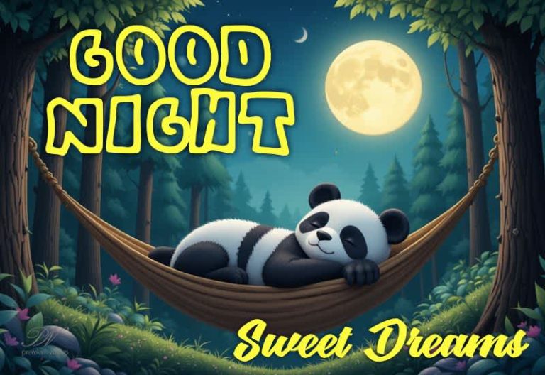 Good Night Wishes