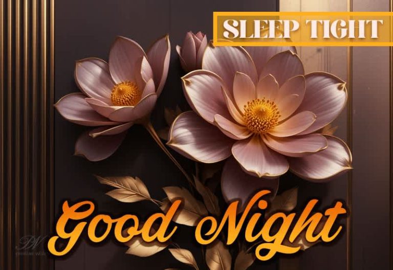 Good Night Wishes