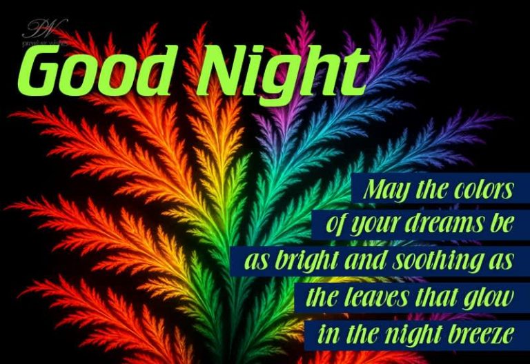Good Night Wishes