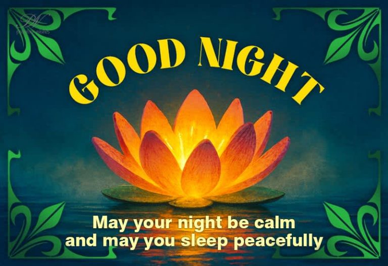 Good Night Wishes