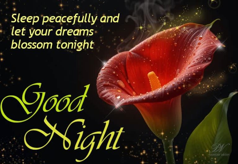 Good Night Wishes