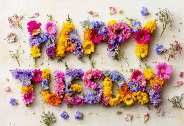 Happy Tuesday! Start today with gratitude and watch good things unfold