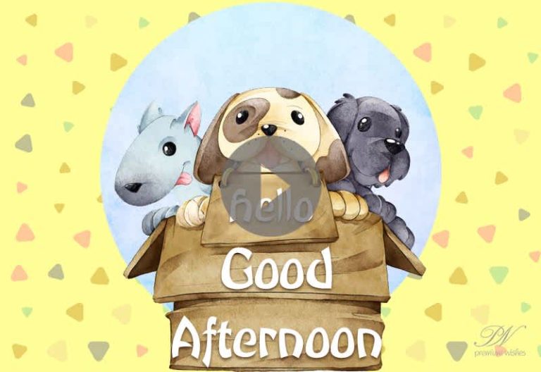 Good Afternoon Cute Images – Good Afternoon Lovely Video