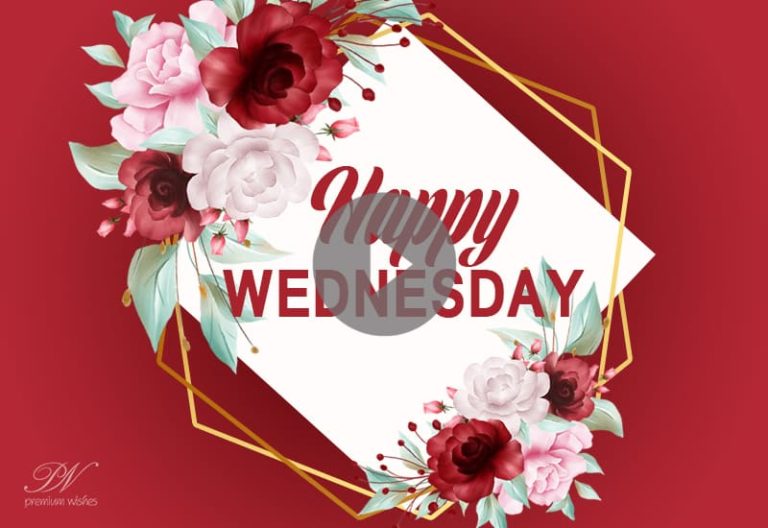 Happy Wednesday with Red Flowers – Lovely Wednesday Good Morning Video