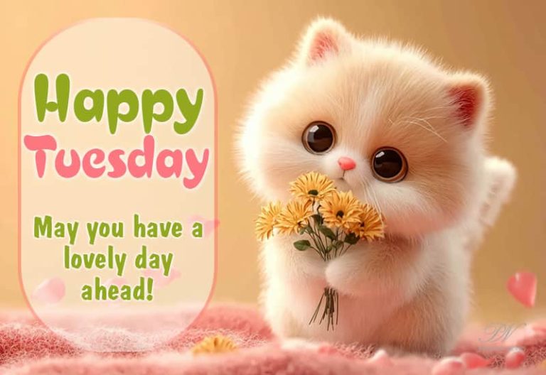 Happy Tuesday – May you have a lovely day ahead – let it be productive, peaceful, and full of good moment