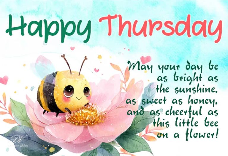 Happy Thursday -May your day be as bright as the sunshine as sweet as hone and as cheerful as this little bee on a flower