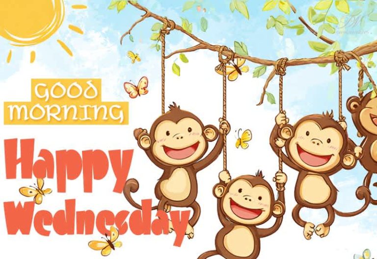 Happy Wednesday – Midweek motivation: You’ve made it this far, and the best is yet to come