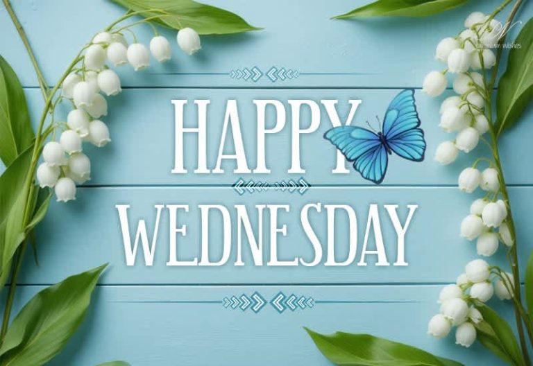 Happy Wednesday! Keep shining—you’re halfway to your goals for the week