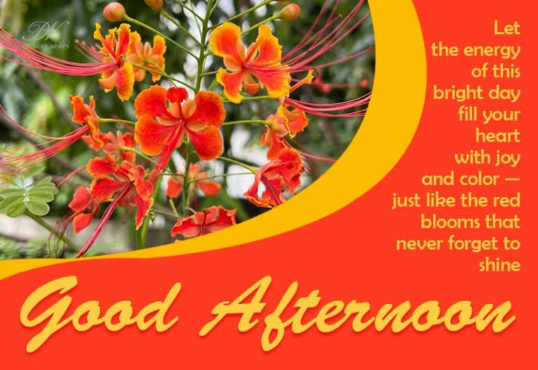 Good Afternoon Wishes