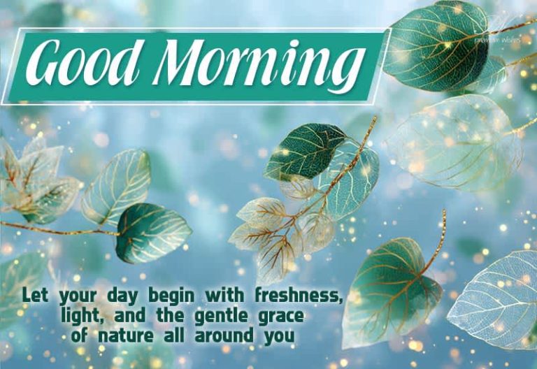 Good Morning – Let your day begin with freshness, light and the gentle grace of nature all around you Good Morning – Let your day begin with freshness, light and the gentle grace of nature all around you