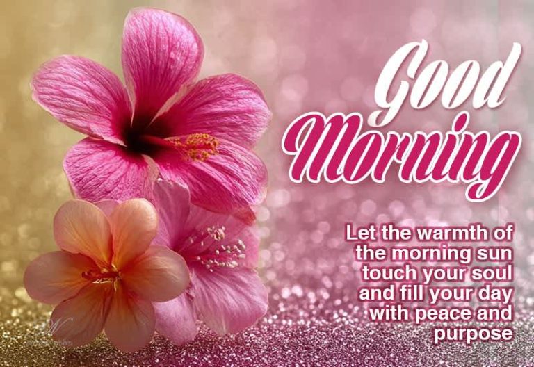 Good Morning – Let the warmth of the morning sun touch your soul and fill your day with peace and purpose