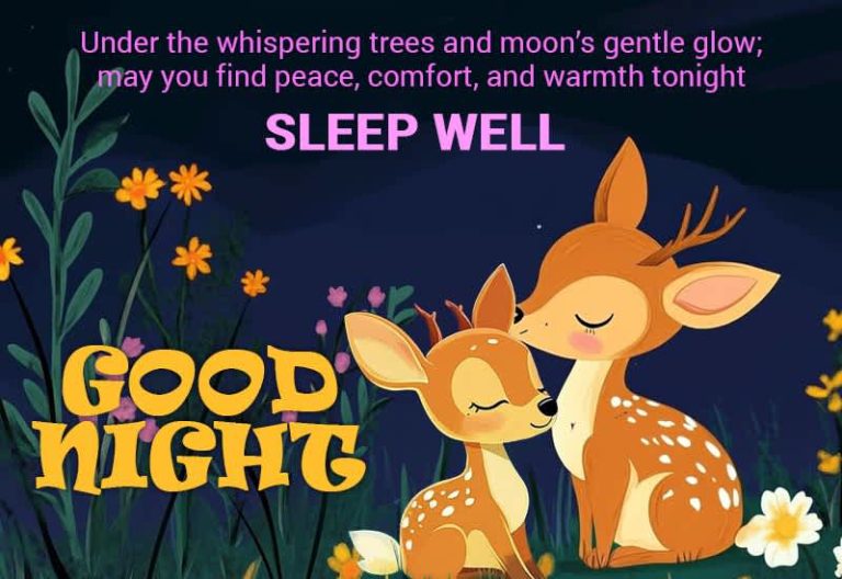 Good Night Wishes