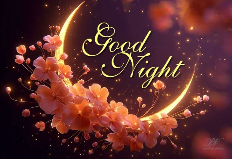 Good Night Wishes
