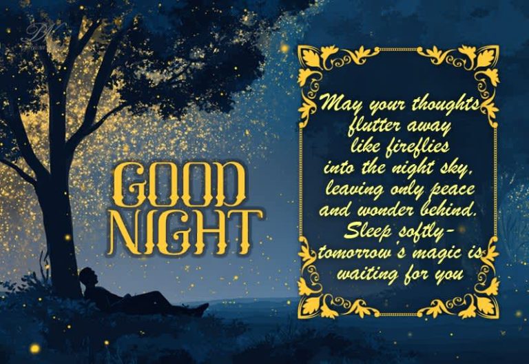 Good Night – Sleep softly—tomorrow’s magic is waiting for you