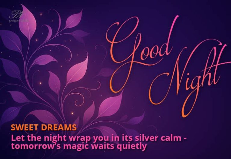 Good Night Wishes