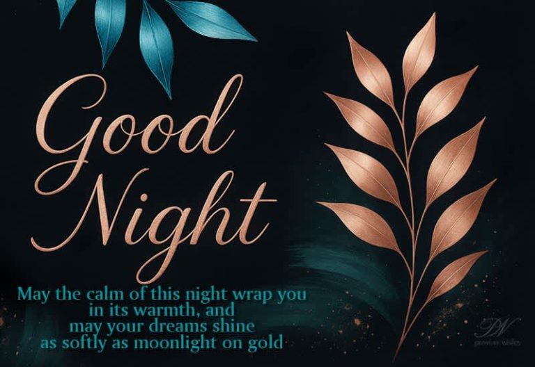 Good Night Wishes