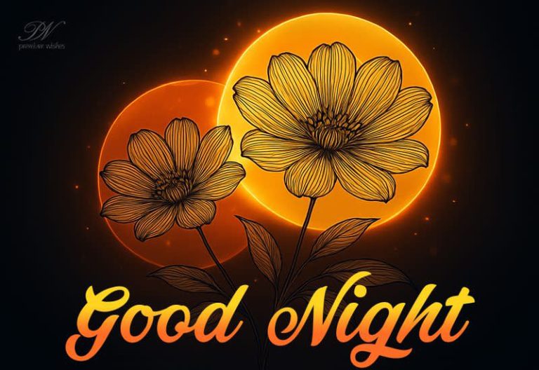 Good Night Wishes