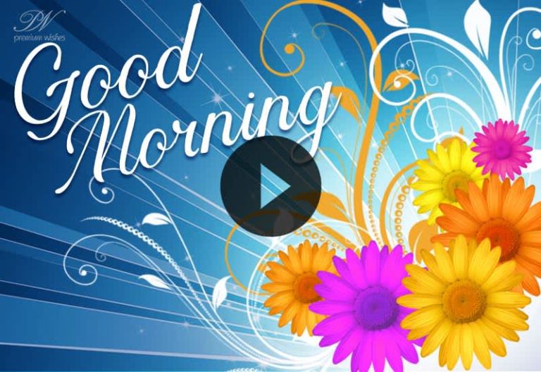 Good Morning With Lovely Flowers, Beautiful Good Morning Status, Morning Wishes