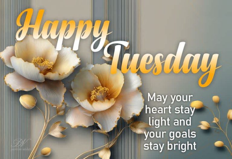 Happy Tuesday – May your heart stay light and your goals stay bright