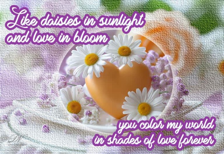Like daisies in sunlight and love in bloom, you color my world in shades of forever Like daisies in sunlight and love in bloom, you color my world in shades of forever
