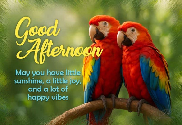 Good Afternoon Wishes