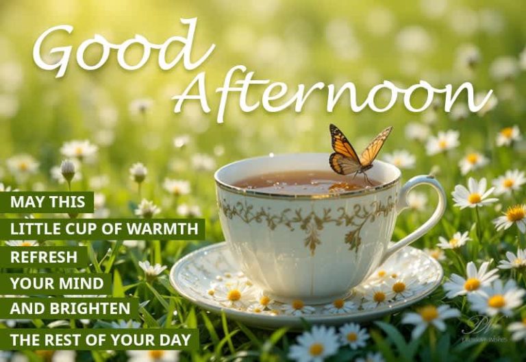 Good Afternoon Wishes