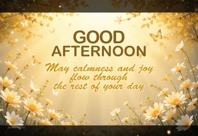 Good Afternoon – Wishing You Calmness and Joy for the Rest of Your Day