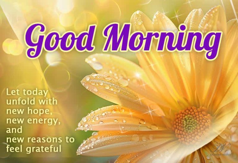 Good Morning – Let today unfold with new hope, new energy and new reasons to feel grateful