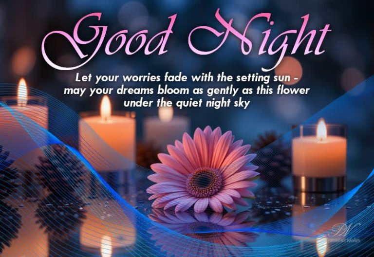 Good Night Wishes