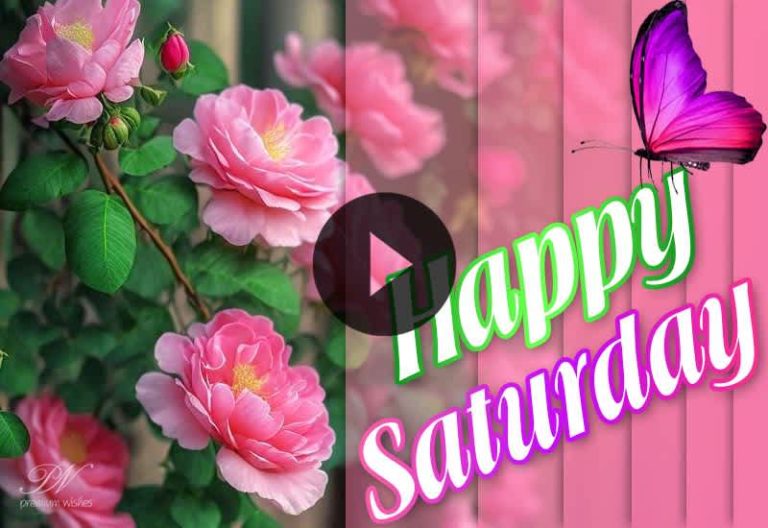 Beautiful Flowers Saturday Video – Happy Saturday with Flowers – Beautiful Flowers