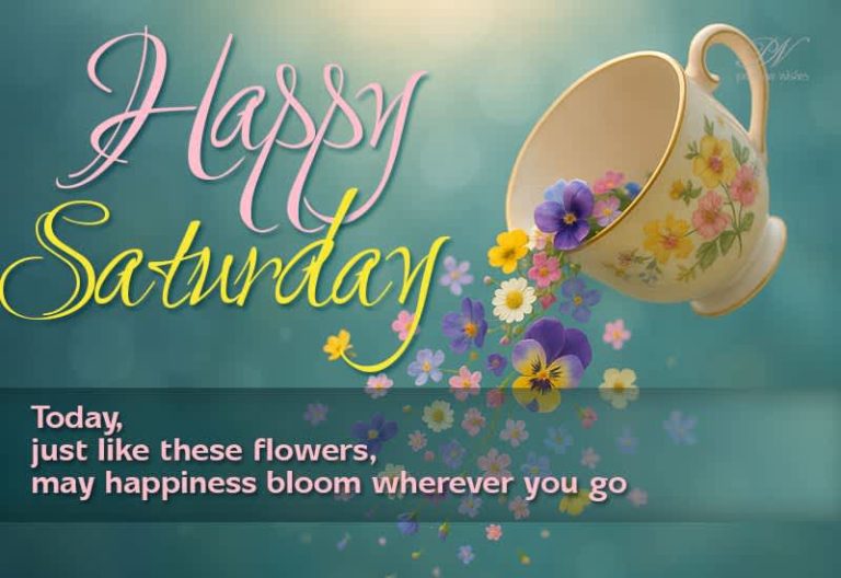 Happy Saturday – Today, just like these flowers, may happiness bloom wherever you go.β π Happy Saturday – Today, just like these flowers, may happiness bloom wherever you go.β π