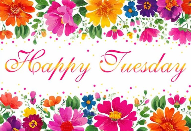 Happy Tuesday – Wishing You a Bright and Vibrant Day Ahead