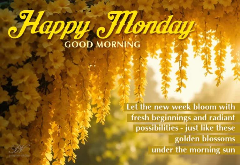 Happy Monday – Good Morning – Let the new week bloom with fresh beginnings and radiant possibilities Happy Monday – Good Morning – Let the new week bloom with fresh beginnings and radiant possibilities