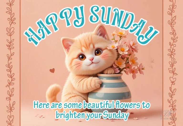 Happy Sunday – Sending You Beautiful Flowers to Brighten Your Day