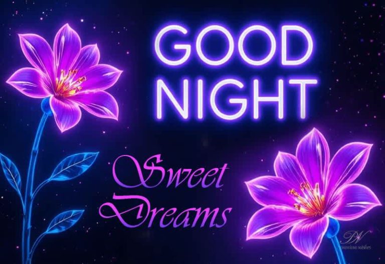 Good Night Wishes