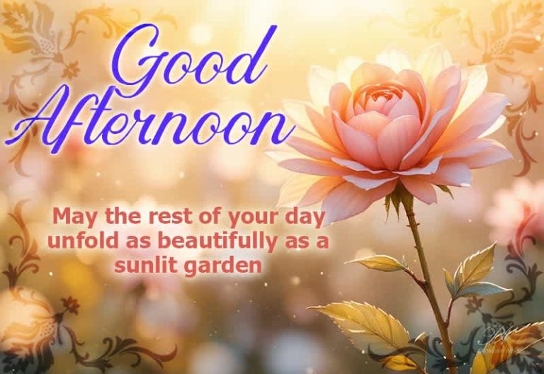 Good Afternoon Wishes